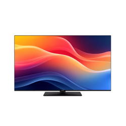 Panasonic TB-65W61AEZ 4K LED Ultra HD TV 164 cm