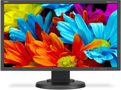 NEC MultiSync E224Wi - Monitor