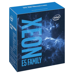 Intel Xeon Processor E5-2609v4 8C Processeurs
