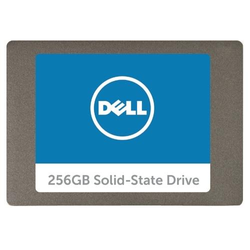 DELL A9794105 Internes Solid State Drive 256 GB SATA