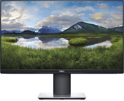 DELL P2421D - QHD IPS Monitor - 24 inch