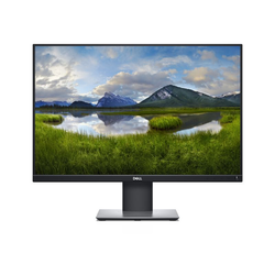 Dell 24 Professional Monitor - P2421 - 6