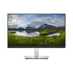 DELL 24 PRO P2422H (FHD/16:9/IPS/CV+/HAS/PIVOT) (DP/HDMI/VGA)