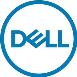 DELL 345-BGNK internal solid state drive 2.5" 1,6 TB SAS
