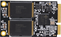 MicroStorage mSATA 256GB 3D TLC SSD (MT-256T)
