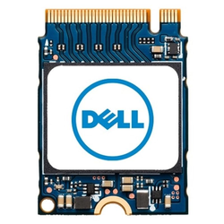 Dell M.2 256 GB PCI Express (SNP112233P/256G)