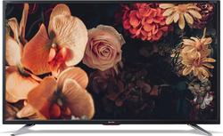 42" Sharp 42CG5