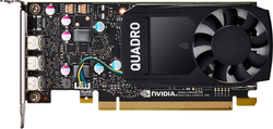 HP Inc NVIDIA Quadro P400 (1ME43AA)