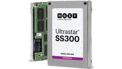 Western Digital Ultrastar SS300 SSD - Argent