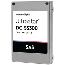 Western Digital Ultrastar DC SS300 SSD - Argent