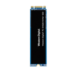 Sandisk SDAPNUW-512G SSD - Noir, Bleu