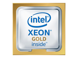 Intel Xeon Gold 6252N / 2.3 GHz processor