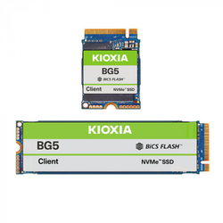 KIOXIA BG5 Series - SSD - 256 GB - intern - M.2 2280