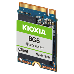 KIOXIA BG5 Series - SSD - 256 GB - intern - M.2 2230
