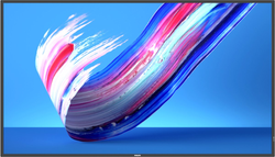 Philips 55" Direct LED 4K Display powered by An