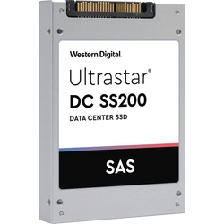 Hitachi Ss200 Ri-1dw/D Crypto-E 0TS1404 SSD - Gris