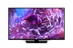 PHILIPS - B2B 49HFL2889S/12 LED TV, Schwarz