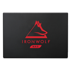 Seagate IronWolf 125 SSD 250GB Solid State Disk Serial ATA SATA 560 MB