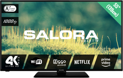 Salora 2204 series 55EUS2204 tv 139,7 cm (55") 4K Ultra HD Smart TV Wi-Fi Zwart