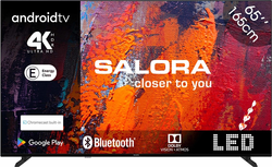 Salora TV 165,1 cm (65") 4K Ultra HD Smart TV Wifi Noir (65UA550)