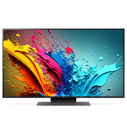 LG 65QNED87T6B 164 cm (65") LCD-TV mit LED-Technik / E